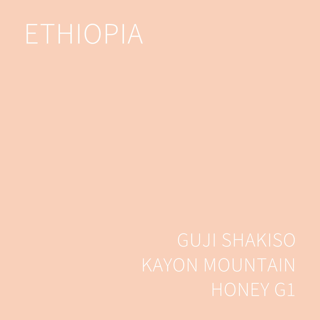 에티오피아 구지 샤키소 카욘 마운틴 팜 허니 G1 1KG (ETHIOPIA GUJI SHAKISO KAYON MOUNTAIN FARM HONEY)