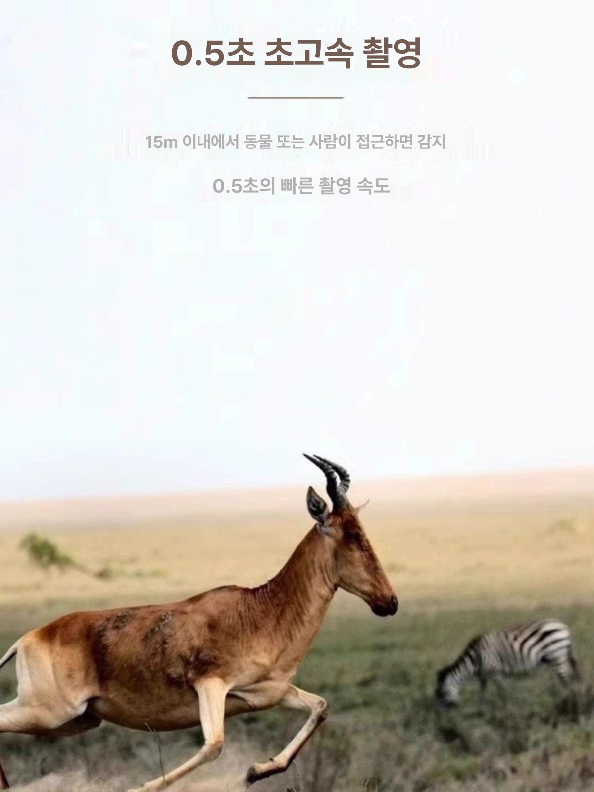 야외 감시카메라 고화질 감시 야간 투시 카메라 축사 기본 - 상세 이미지 5