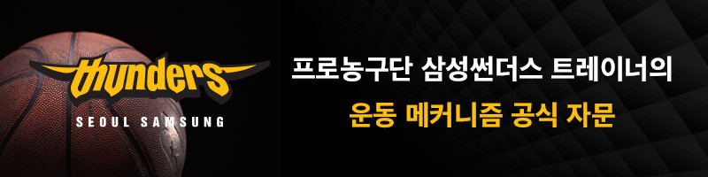 제스파 스포츠 스텝퍼 다이어트 헬스 운동기구 가정용 근력 힙업 홈트 스윙키 핑크 판매처 상세 정보 이미지 2