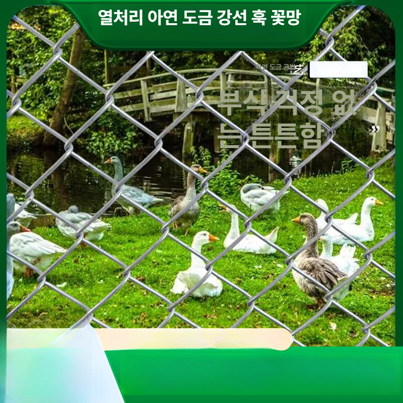 아연도금 철조망 축사 동물 능형망 메쉬 울타리 가설 그물망 안전 - 상세 이미지 3