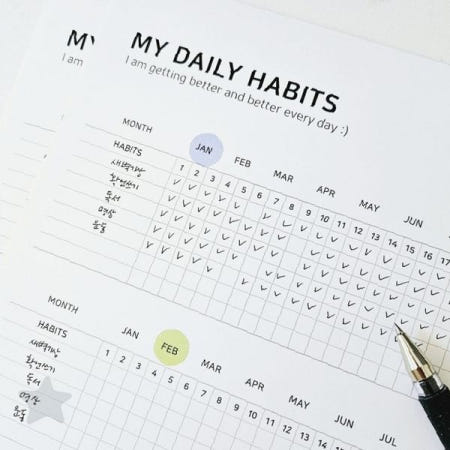 일년 목표 달성 체크 시트 매일 습관 기록지 챌린지 관리 용지 자기계발 계획표