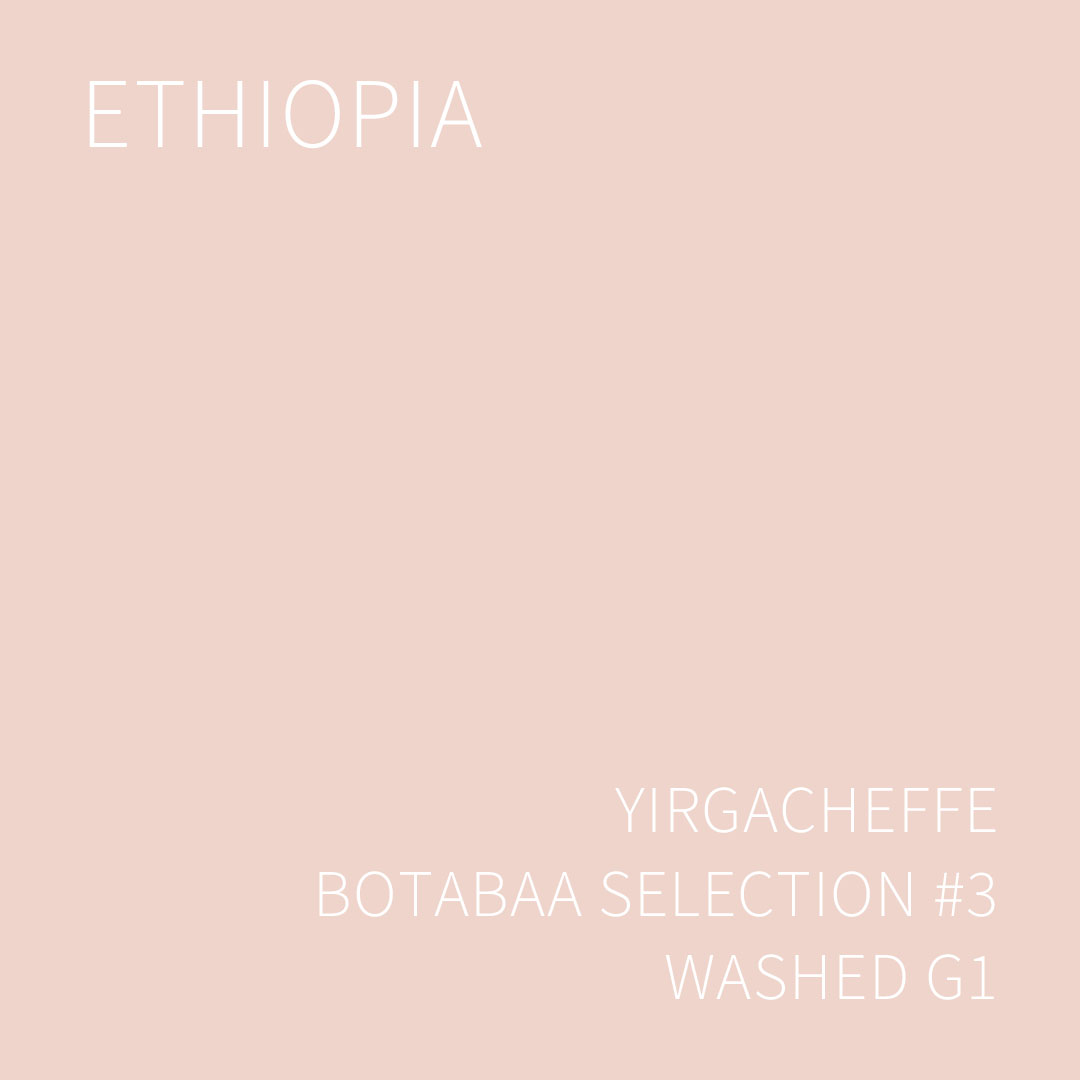 에티오피아 예가체프 보타바 셀렉션 #3 워시드 G1 5KG (YIRGACHEFFE BOTABAA SELECTION #3 WASHED)