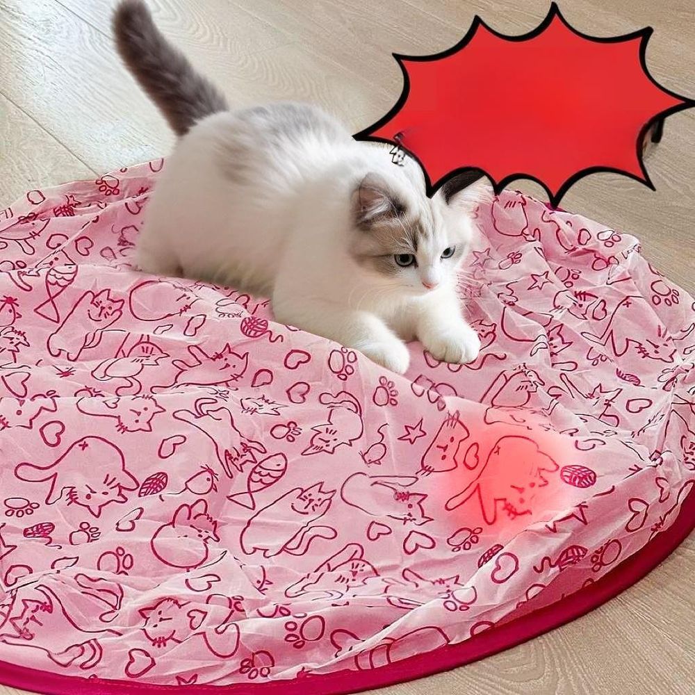 고양이 매직 짐볼 애난감 자동 핑크 사냥 고양이 사냥망+전동 반 A. 전기 고양이 공 레드 - 상품 이미지