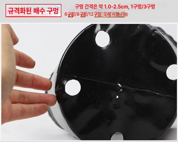 비닐화분포트 플라스틱 묘목컵 꽃 식물 3000개입 봉지 텃밭 봉투 대형 삽목 분갈이 비닐 - 상세 이미지 3