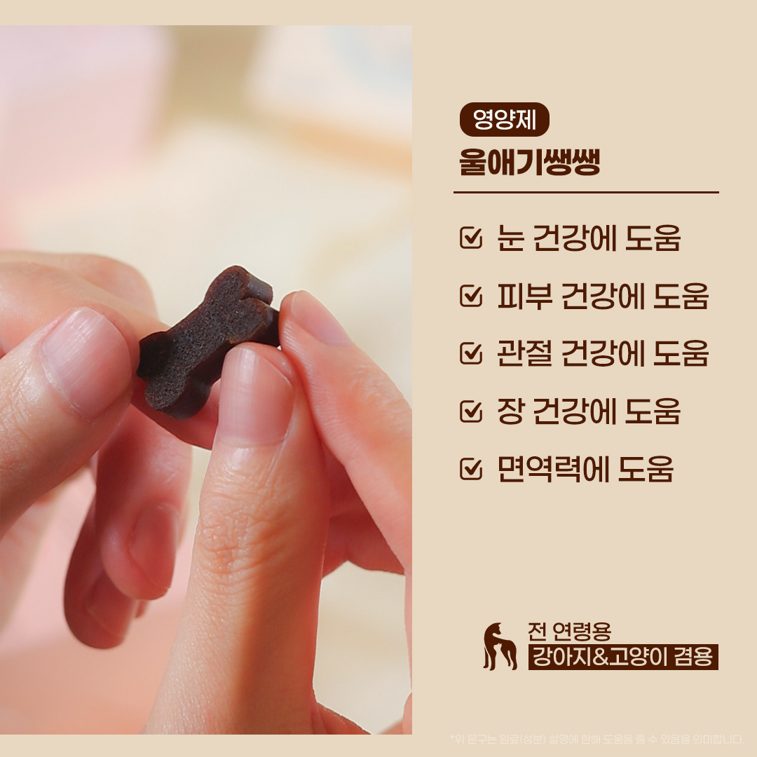 디어랩스 강아지 영양제 쌩쌩세트(울애기쌩쌩+이너플러스) 반려동물 관절 피부 기관지 협착증 - 상세 이미지 2