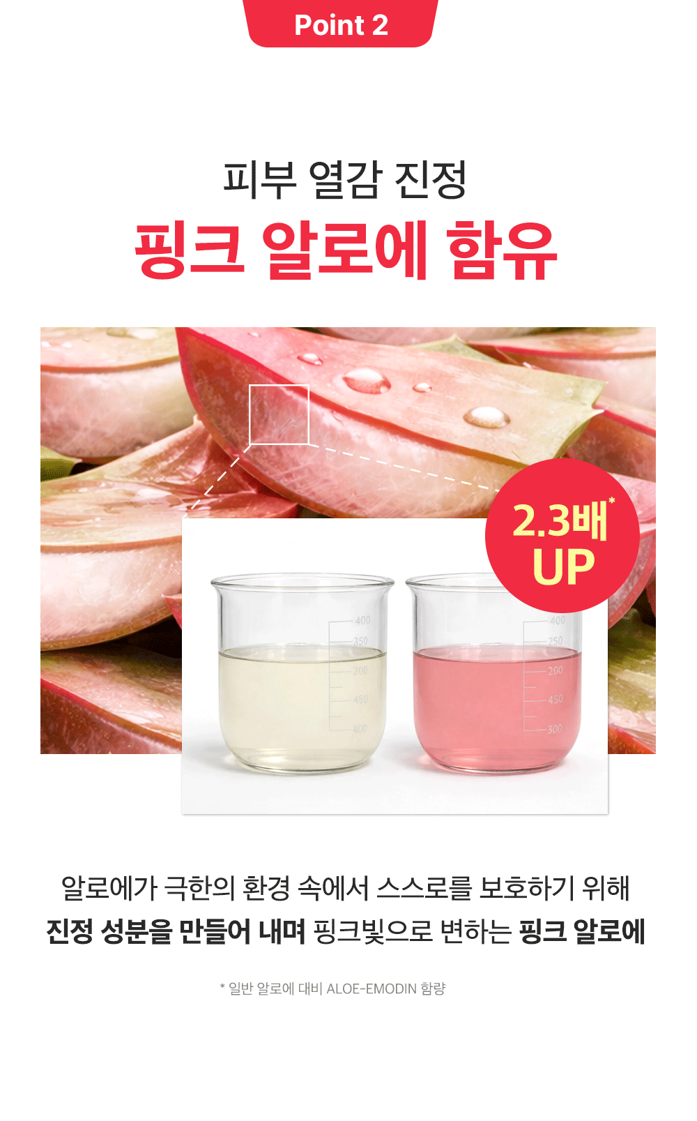 sungboon editor green tomato cleansing foam