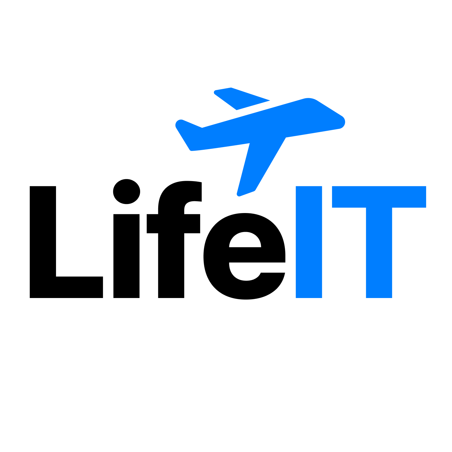 LifeIT라이프잇 스토어 로고