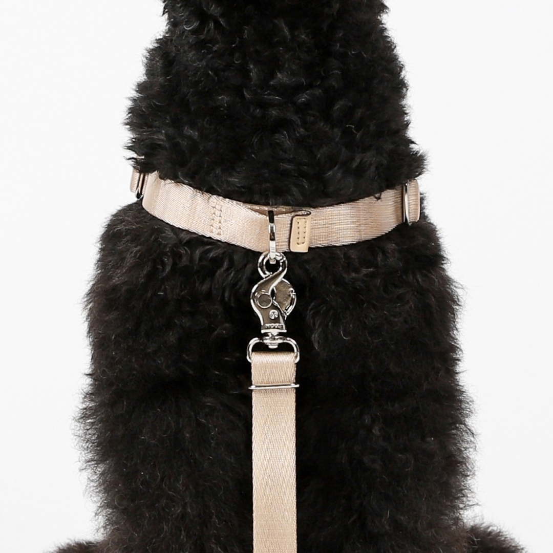 호지 홀스빗하네스 Y형 산책 가슴줄 소형견 중형견 대형견 반려견 애견 하네스 산책줄 XS 이미지 4