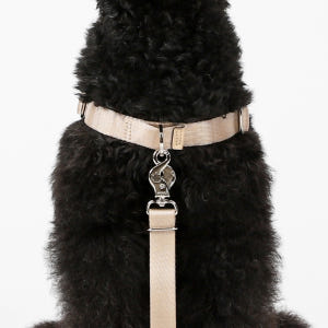 호지 홀스빗하네스 Y형 산책 가슴줄 소형견 중형견 대형견 반려견 애견 하... 솔직 후기 | 실제 사용자 리뷰 총정리 - 상품 이미지 4