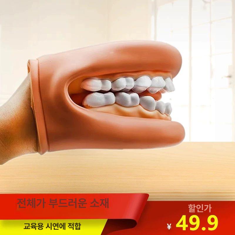 치과 치아 모형 모델 연습 구강 교육 스케일링 단일 항목 - 상세 이미지 5