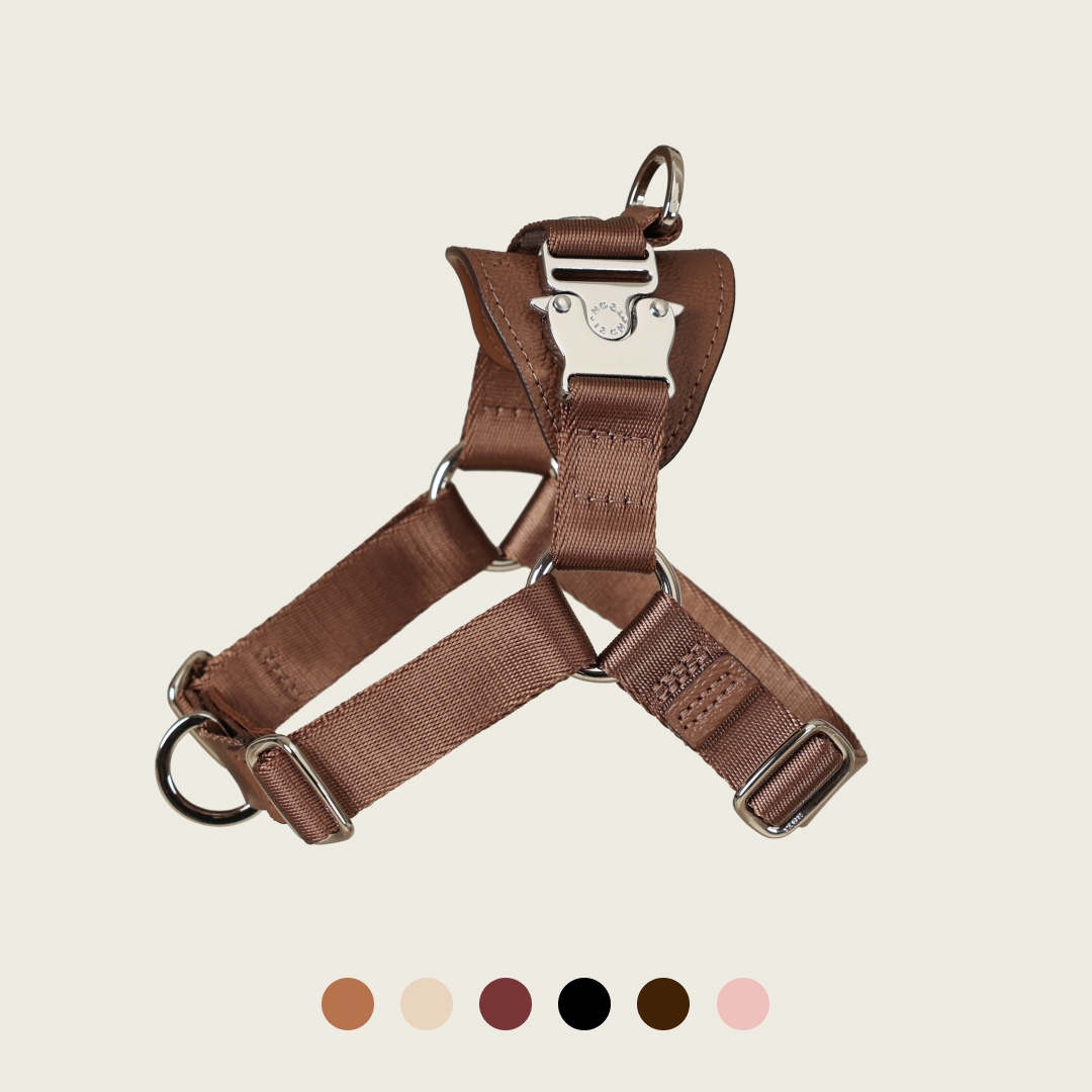 호지 홀스빗하네스 Y형 산책 가슴줄 소형견 중형견 대형견 반려견 애견 하네스 산책줄 XS 이미지 1
