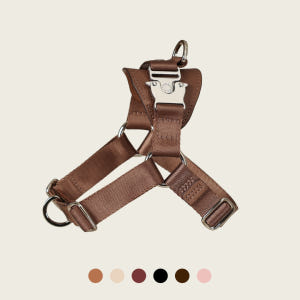 호지 홀스빗하네스 Y형 산책 가슴줄 소형견 중형견 대형견 반려견 애견 하... 솔직 후기 | 실제 사용자 리뷰 총정리 - 상품 이미지 1