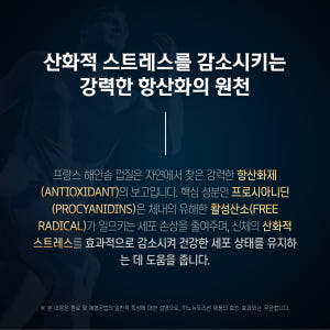 파인바크 프랑스해안송껍질추출물 120캡슐 3병 프로안토시아니딘 맛있게 먹은 솔직 후기 - 상품 이미지 3