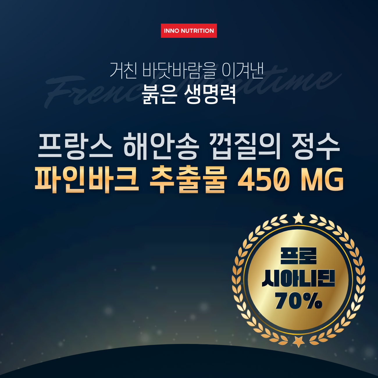 파인바크 프랑스해안송껍질추출물 120캡슐 프로안토시아니딘 이미지 2