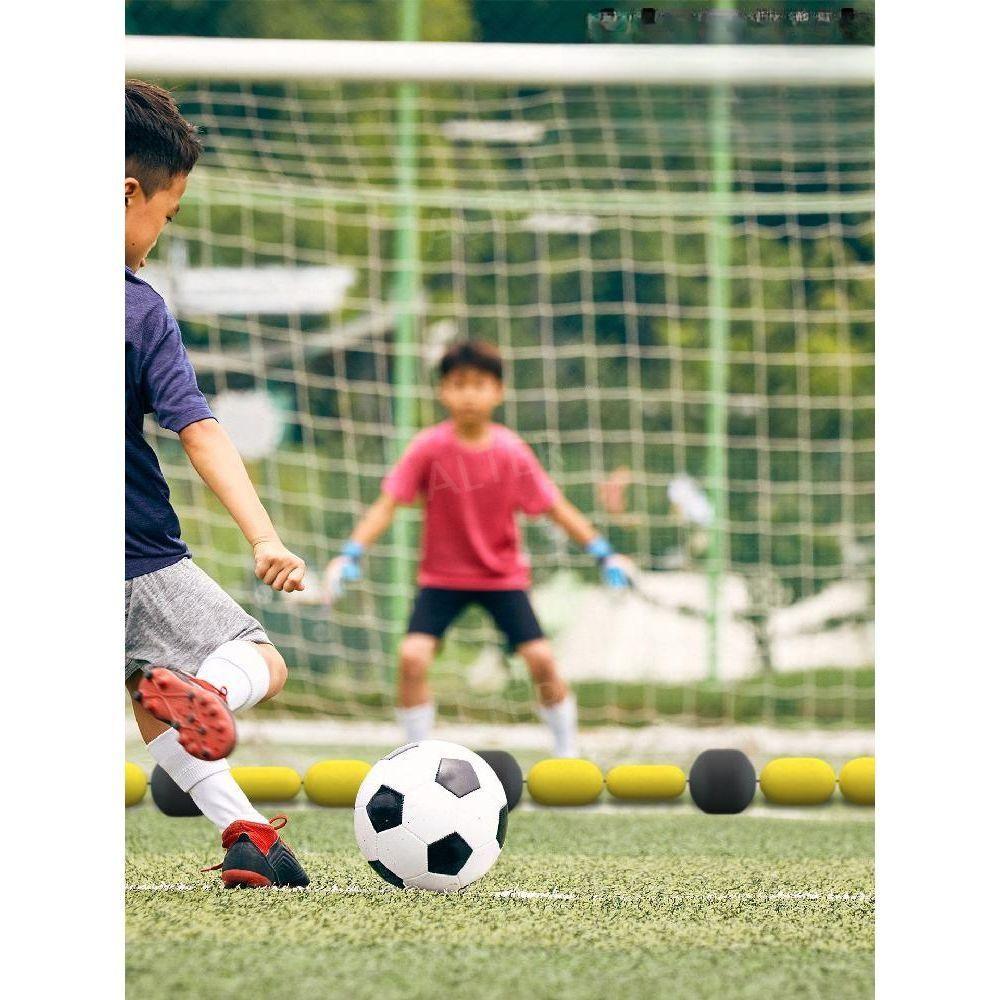 골키퍼 축구 기구 훈련 트레이닝 도구 옐로우 블랙 기본형(백2개) - 상세 이미지 4
