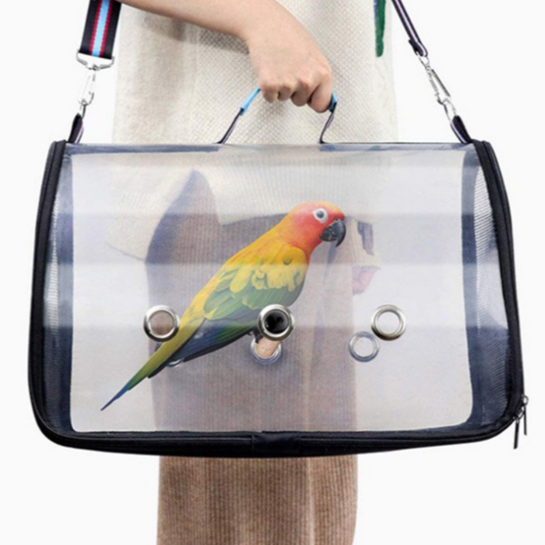 소형 앵무새 이동장 투명 앵무새 캐리어 이동가방 새장