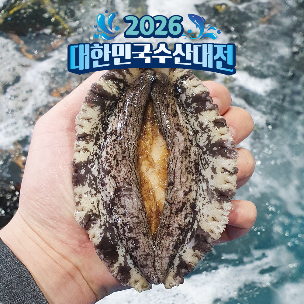 산지직송 완도 활전복 1kg 산소포장 1박스 참전복 - 메인 이미지