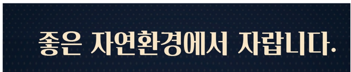 본초생생 흑염소진액 흑염소 30포 1개 이미지 8