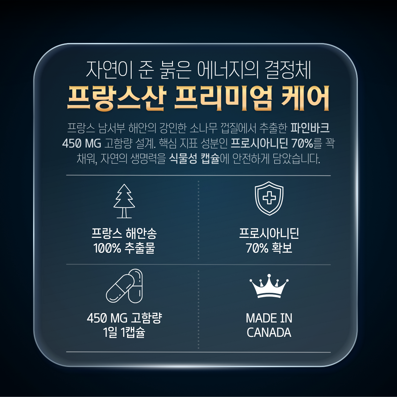 파인바크 프랑스해안송껍질추출물 120캡슐 프로안토시아니딘 이미지 4