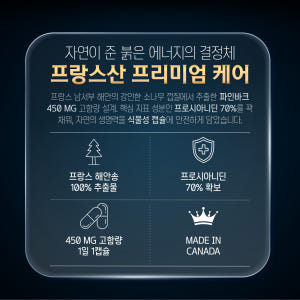 파인바크 프랑스해안송껍질추출물 120캡슐 프로안토시아니딘 맛있게 먹은 솔직 후기 - 상품 이미지 4