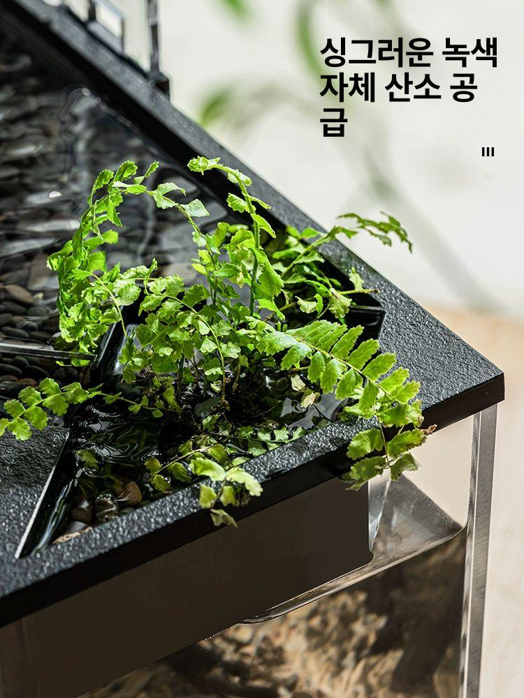 금붕어 자동청소 원형 수조 물멍 인테리어 아크릴 무드등 대형 수중펌프포함 - 상세 이미지 3