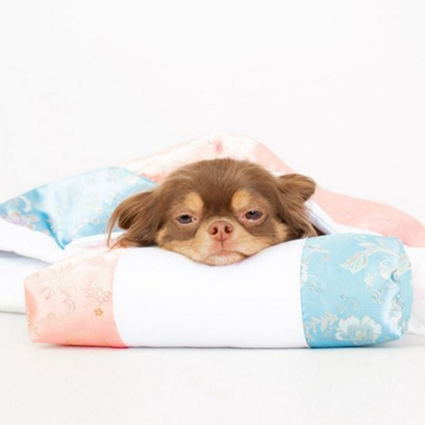 고양이 강아지 침구 침낭 반려동물 이불 침대 베개 - 상품 이미지