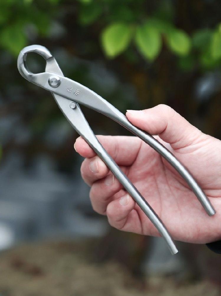 분재가위 혹가위 밑둥 조경 21cm 딩무 스테인리스스틸 뿌리 원예 가지치기 1.5cm Dingmu 초대형 볼 매듭 - 상세 이미지 2