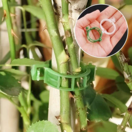 라운샵 식물고정클립 25개 식물줄기고정 화분지지대 모종고정클립 고추지지대고정 원예지지대