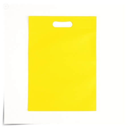 부직포 가방 무지 쇼핑백 에코백 선물 장바구니 10p