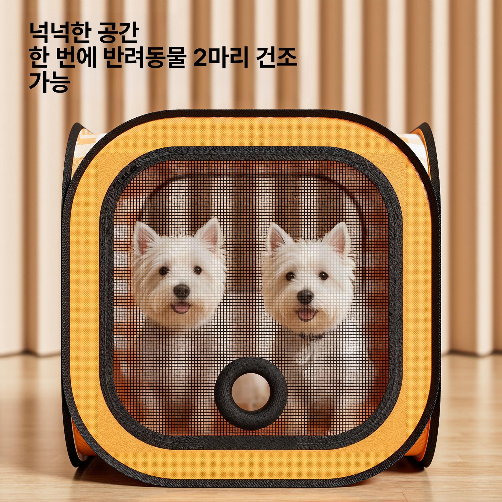 펫드라이기 업그레이드형 목욕용 펫드라이룸 강아지용 애견 1단계 만화 51cm 건조함 - 상세 이미지 5