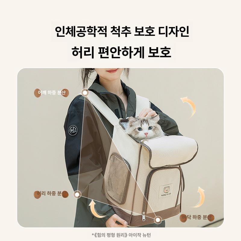 강아지 소동물 휴대가방 접이식 통기성 메쉬 배낭 앵무새 로미브라운 프리사이즈 - 상세 이미지 5