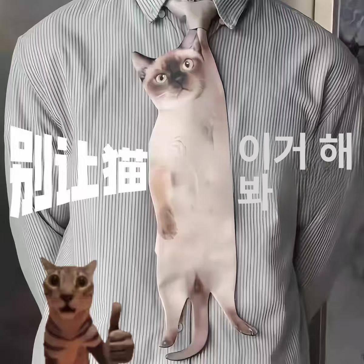 고양이 넥타이 무늬 디자인 실제 선물 웃긴 특이한 인쇄 오렌지캣 - 상세 이미지 2