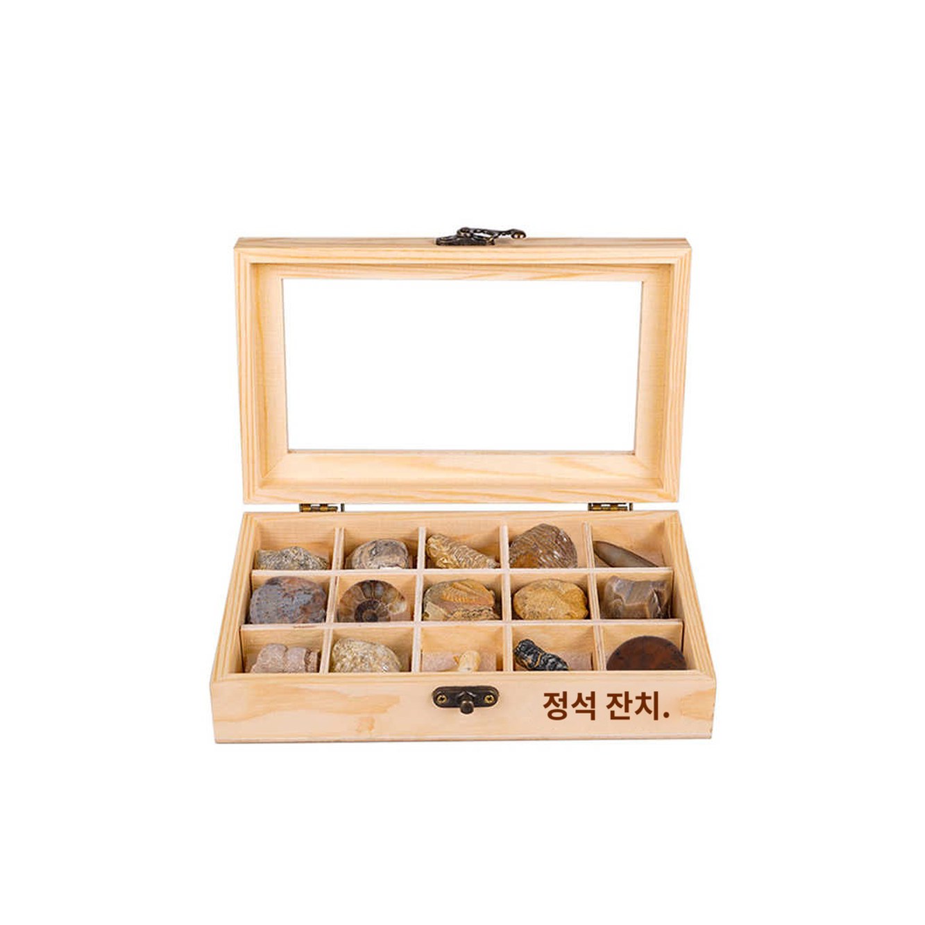 단일 모식경도함 화석 사무실 장식 공예 호박 보관함 고대 수석 장 수집품 고생물학 - 상품 이미지