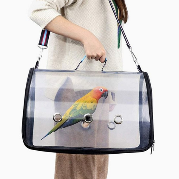 투명 앵무새 이동장 휴대용 이동가방 외출 캐리어