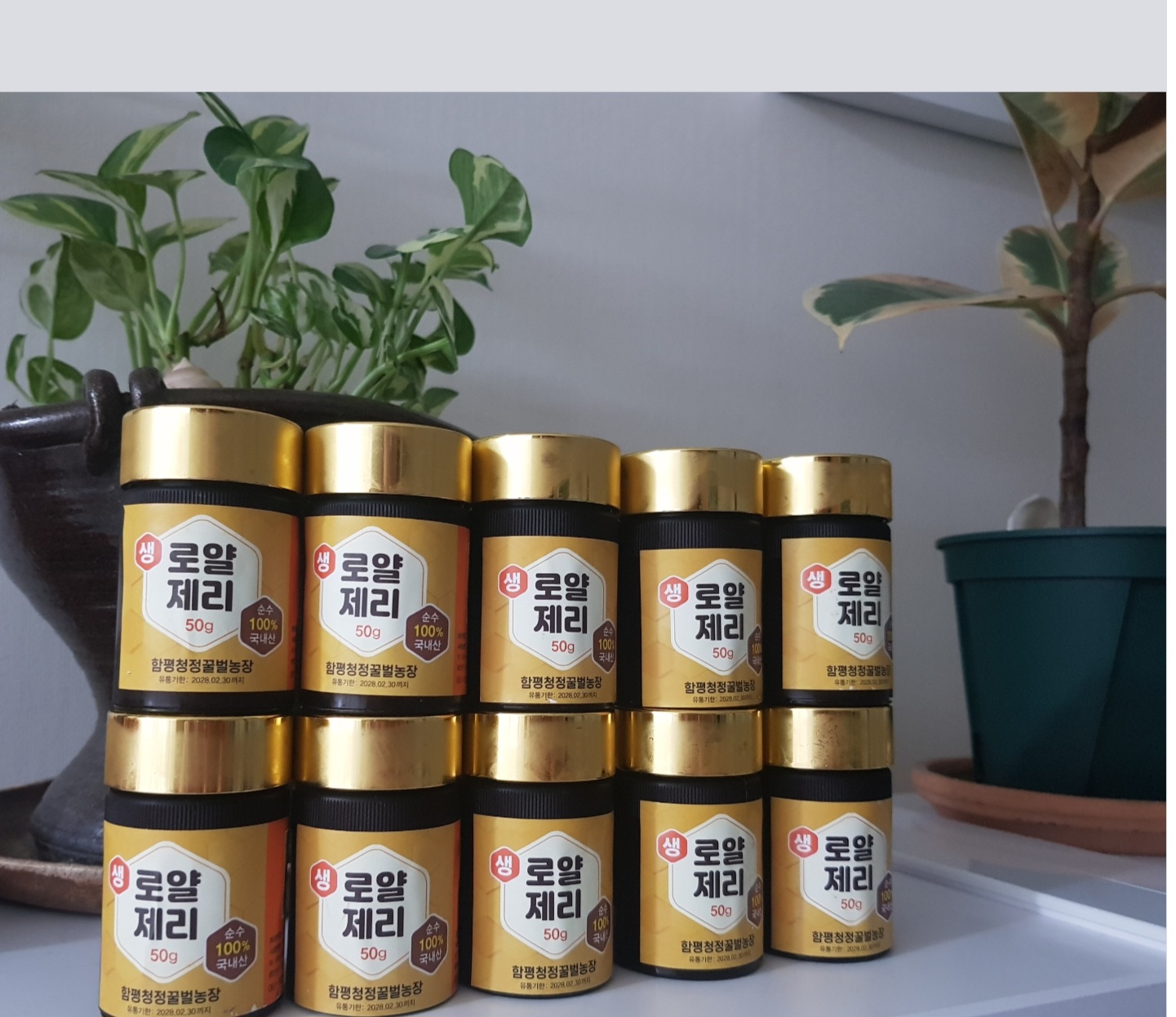 함평청정 국내산 프리미엄 로얄젤리 영양제 생로얄젤리 로얄제리 로열 제리 50g 10병 - 상품 이미지