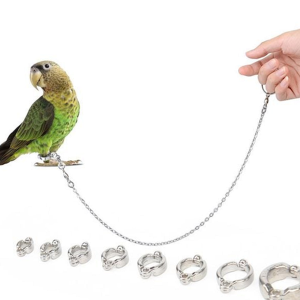 스테인리스 앵무새 발목링 새와이어 앵무새 리드 줄 산책줄 조류 체인