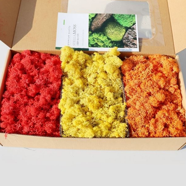 플랜테리어 조화 이끼 플라워 조경 이끼 장식 식물 - 상품 이미지