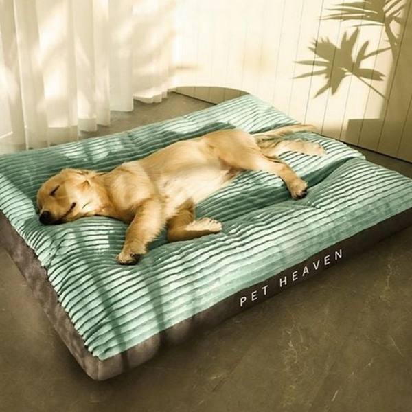 반려동물 강아지 방석 반려묘 고양이 방석 중형견 대형견 침대