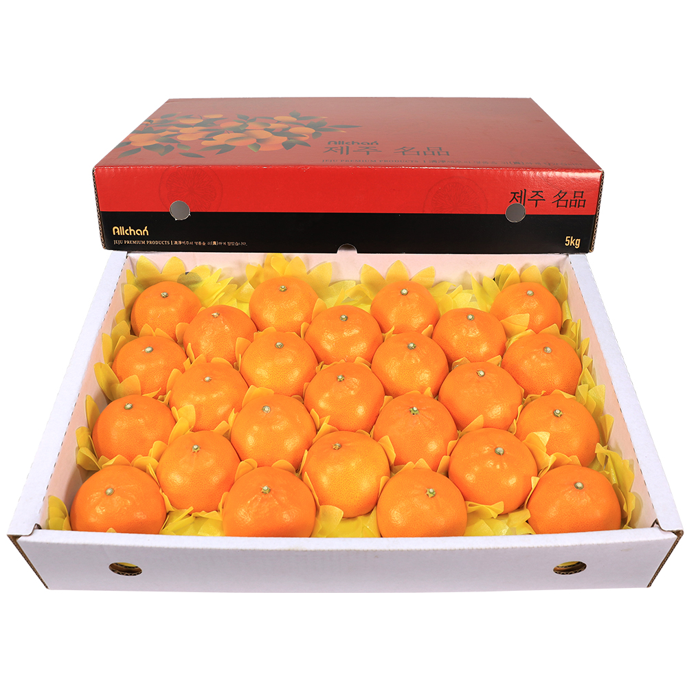 제주도 천혜향 가정용 선물세트 3kg 5kg 10kg 제품 이미지