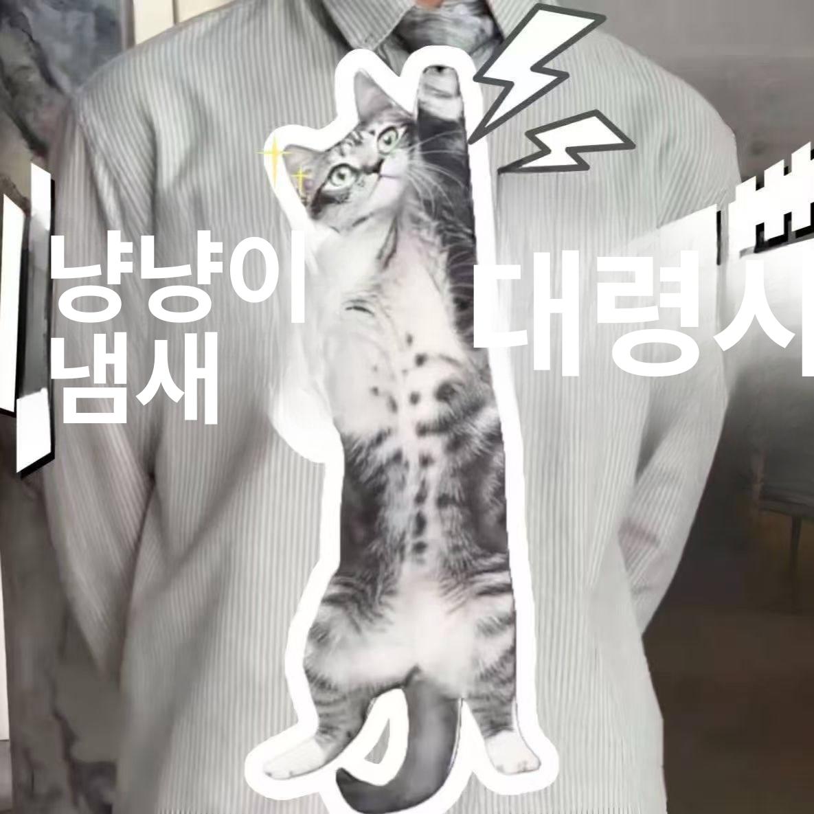 고양이 넥타이 무늬 디자인 실제 선물 웃긴 특이한 인쇄 오렌지캣 - 상세 이미지 3