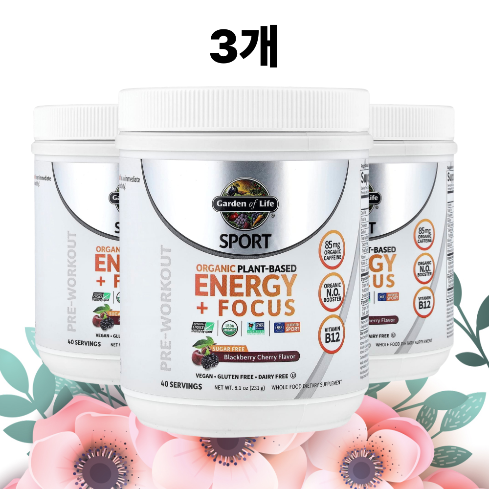 가든오브라이프 에너지 포커스 블랙베리체리맛 스포츠 231g, 3개 - 상품 이미지