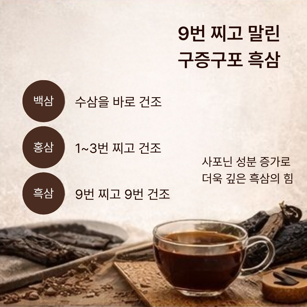 홍삼 사포닌 사양벌꿀 6년근 흑삼 진액 스틱 엘누아르랩 10gX30포 [1개월 분] - 상세 이미지 3