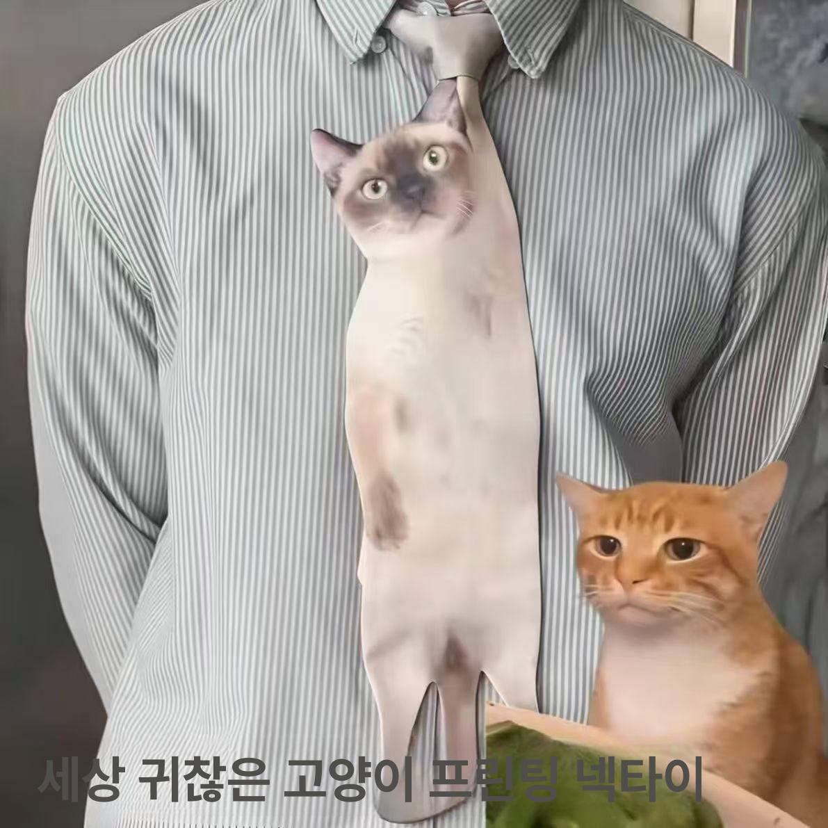고양이 넥타이 무늬 디자인 실제 선물 웃긴 특이한 인쇄 오렌지캣 - 상세 이미지 4