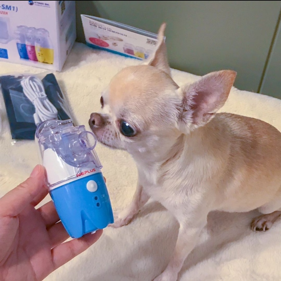국산 가정용 네블라이저 아기 휴대용 네플러스 강아지 고양이 상품 이미지