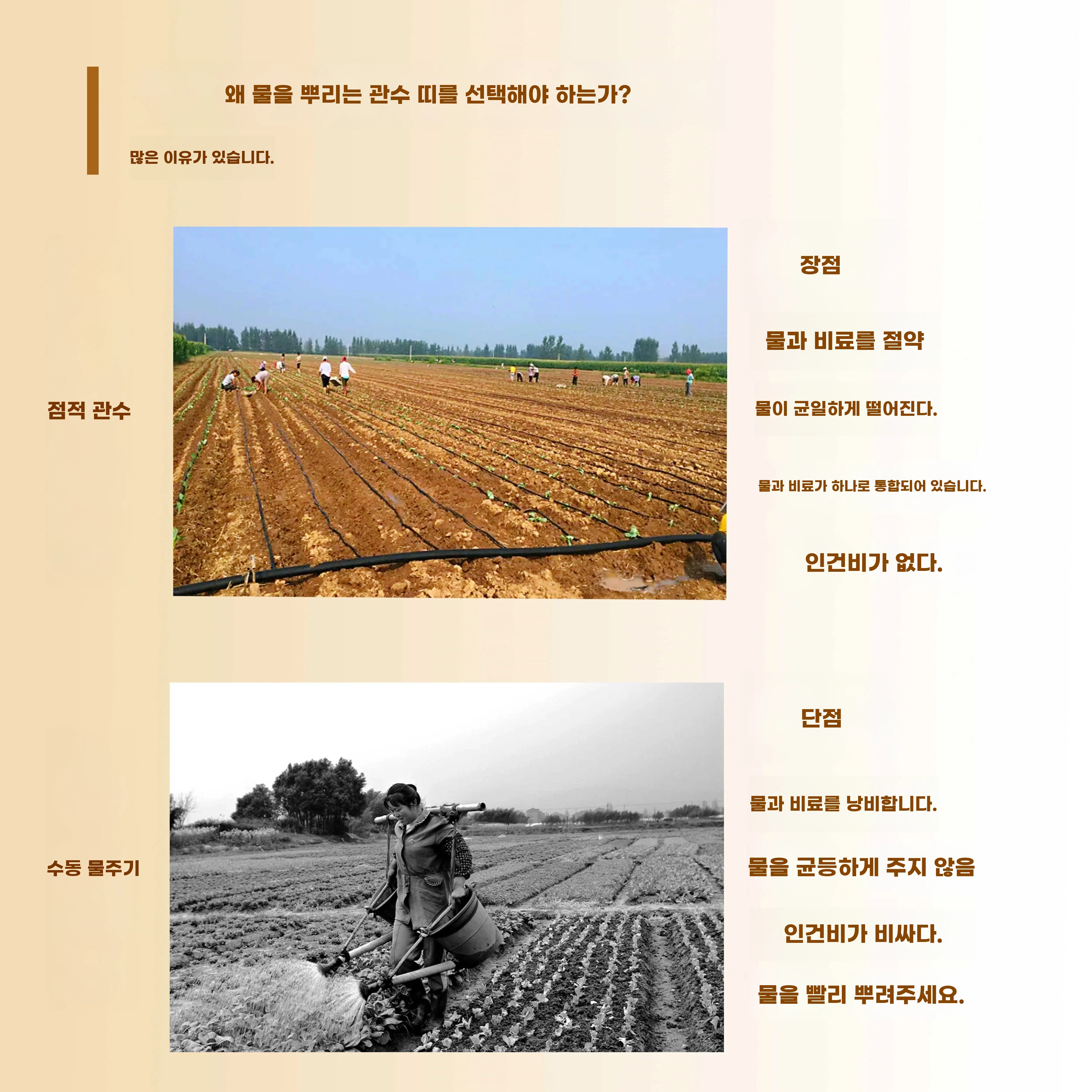 점적 관수 호스 농사용 C. 단일홀 두께 0.2mm 홀간격 20cm1000m 시간당 3리터 - 상세 이미지 3