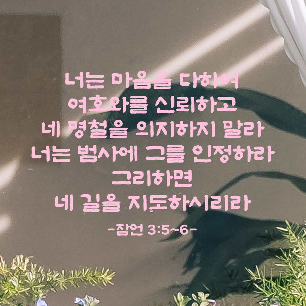 성경 말씀 스티커 잠언 3장 5절~6절 단정한 붓글씨 레터링 검정S 41.5x28cm - 상세 이미지 4