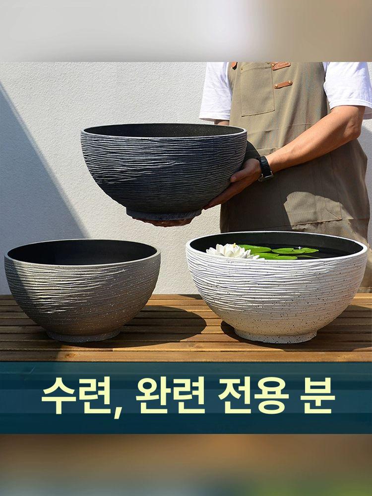 부레옥잠 키우기 수중 소형 수경화 물에서키우는식물 수생 블랙 소형 지름35cm 10x10x10cm - 상세 이미지 4