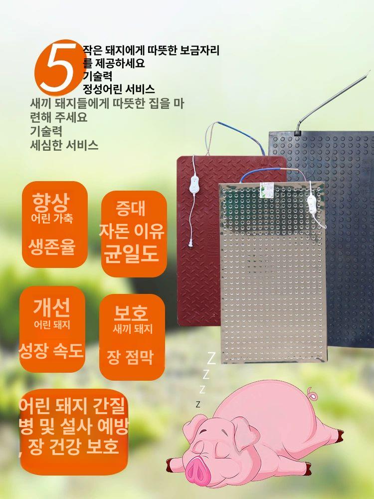 애완견 전기매트 대형 220v 강아지 장판 온열방석 SMC 고강도 다이캐스트 50 x 60cm 이미지 6