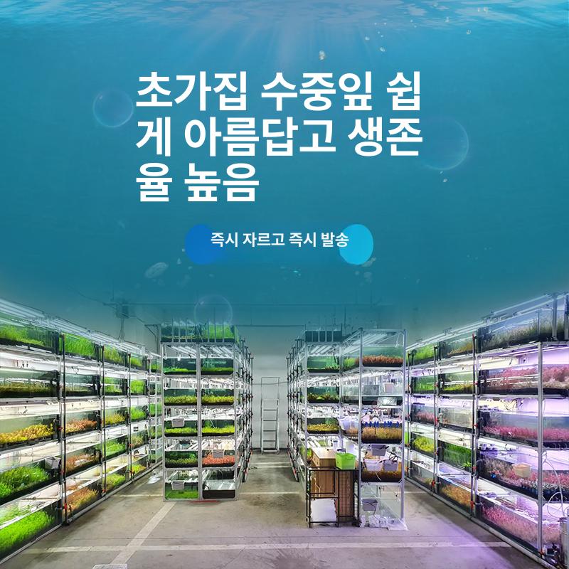 어항용 솔레노이드 밸브 이산화탄소발생기용 화학이탄 외장 입문용 패키지 1 - 상세 이미지 5