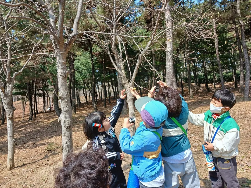 [숲파티포레] 울산대공원 간절곶 울산 경남 어린이 유아 초등 봄 숲체험 자연 학습 이미지 4